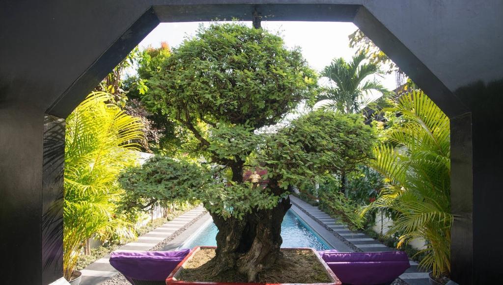 Bonsai Seminyak (Bali)