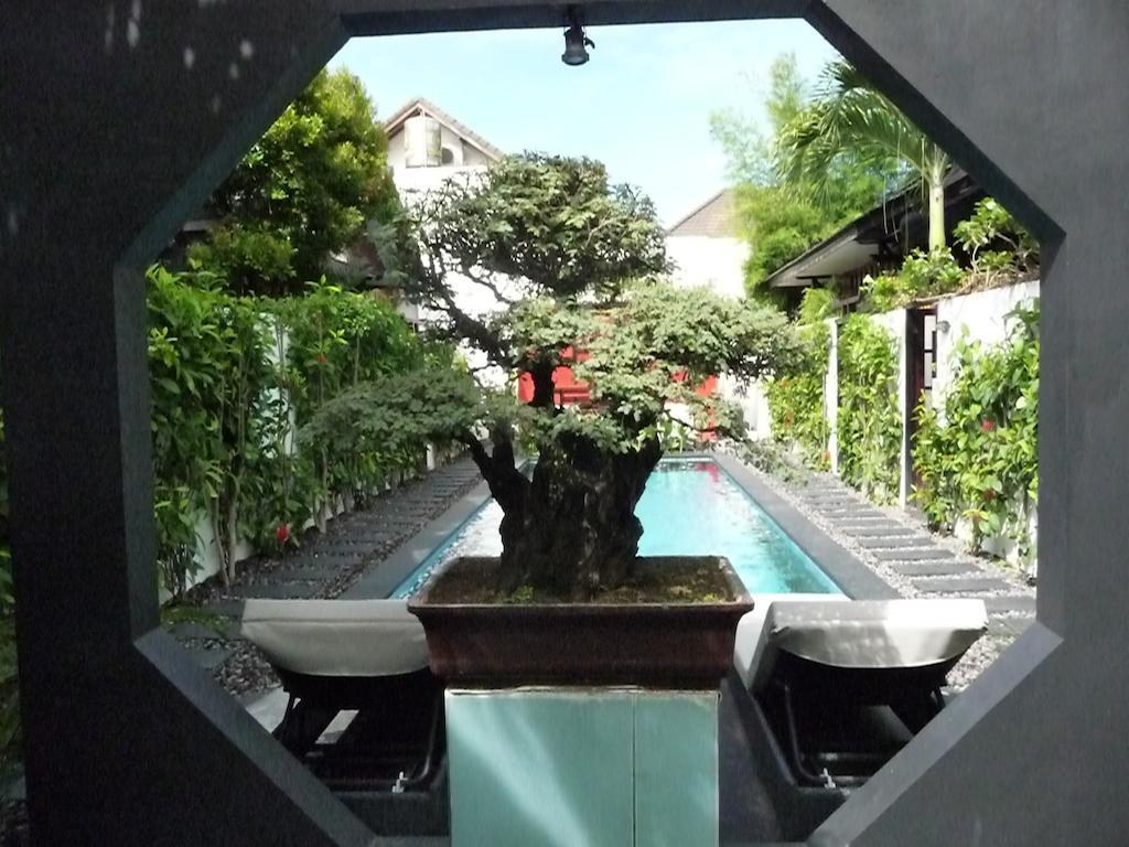 Bonsai
