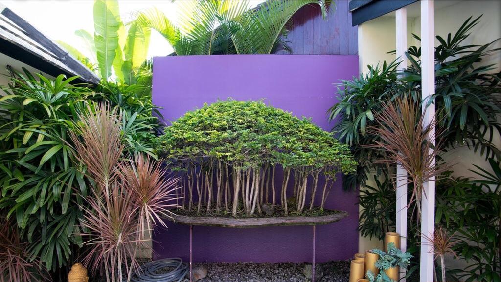 Villa Bonsai